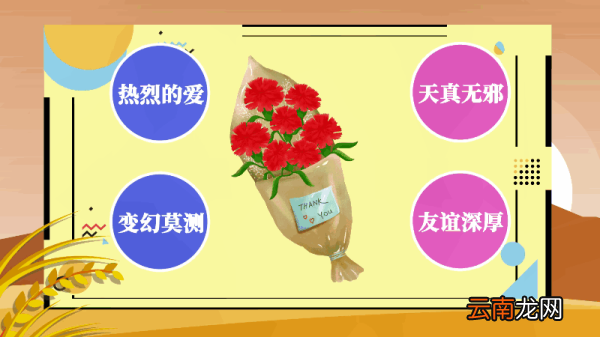 康乃馨花语和寓意 康乃馨花语和寓意是什么