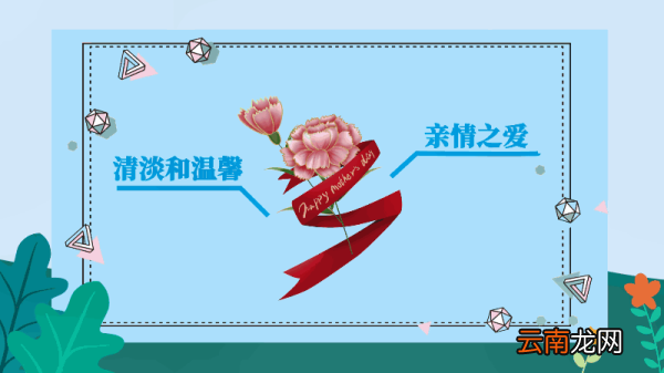 康乃馨花语和寓意 康乃馨花语和寓意是什么