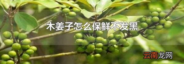 木姜子怎么保鲜不发黑