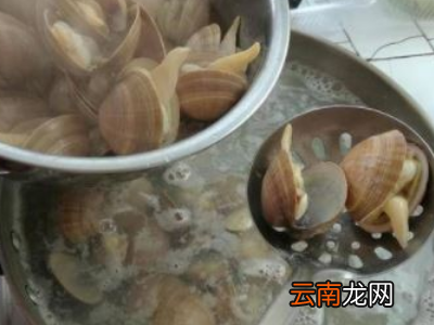 蚬子肉怎么清洗