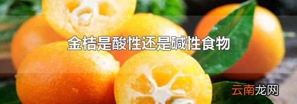 金桔是酸性还是碱性食物
