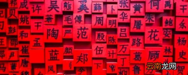 不免贵的姓氏不免贵的姓氏有哪些