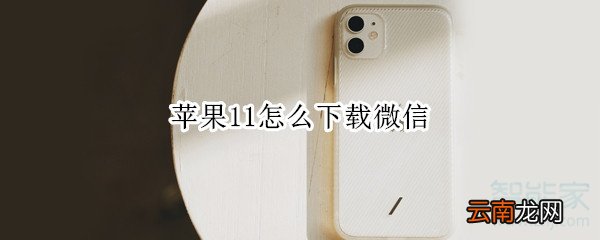 苹果11怎么下载微信