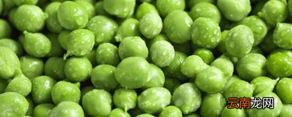 青豆要煮多久才熟 青豆是什么