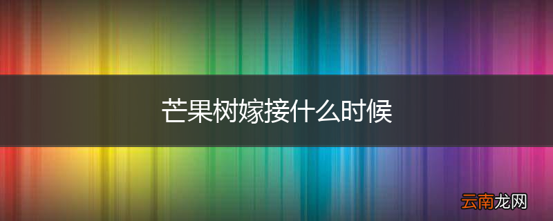 芒果树嫁接什么时候
