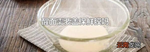 醒面需要盖保鲜膜吗