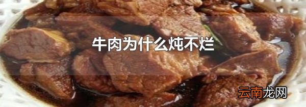 牛肉为什么炖不烂