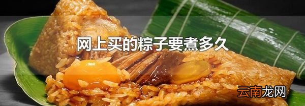 网上买的粽子要煮多久