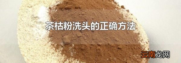 茶枯粉洗头的正确方法