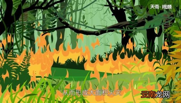 冬季火灾频发的原因冬季火灾的主要原因