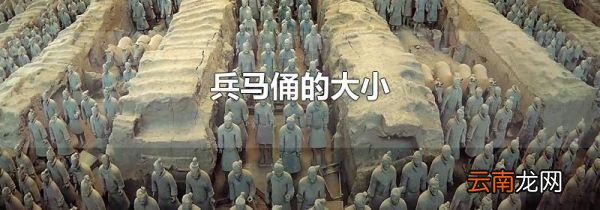 兵马俑的大小