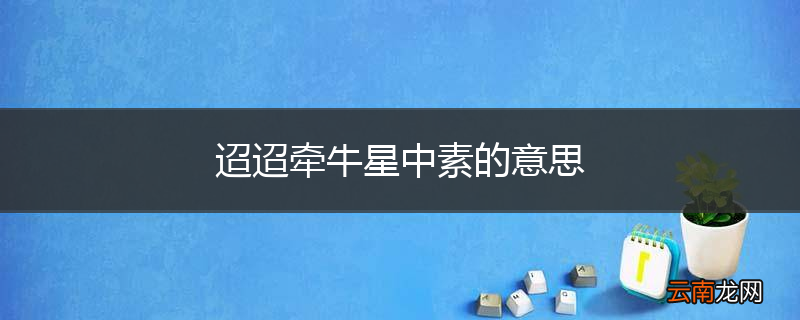 迢迢牵牛星中素的意思