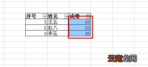 wps按颜色筛选的操作步骤