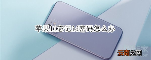 苹果11忘记id密码怎么办