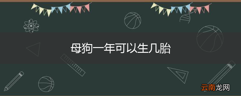 母狗一年可以生几胎