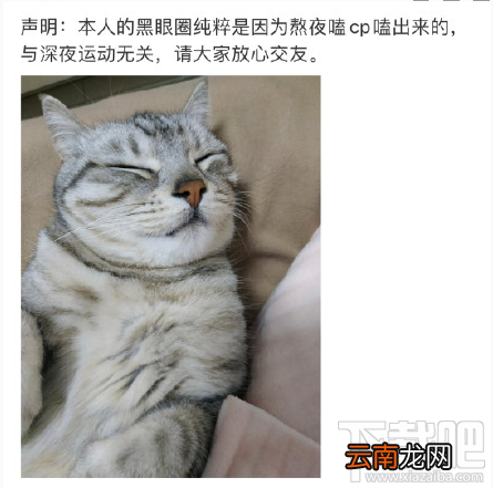 本人黑眼圈声明是什么梗？本人黑眼圈声明表情包分享