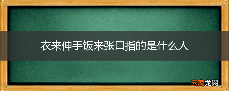 衣来伸手饭来张口指的是什么人