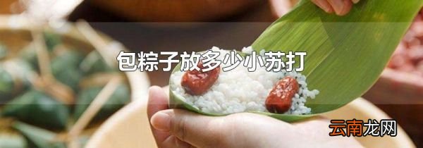 包粽子放多少小苏打