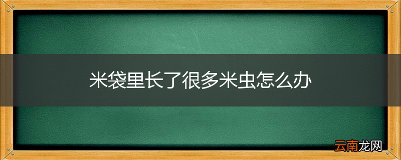 米袋里长了很多米虫怎么办