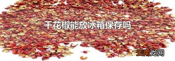 干花椒能放冰箱保存吗