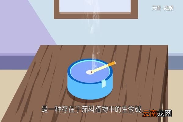 尼古丁是什么 尼古丁有哪些危害