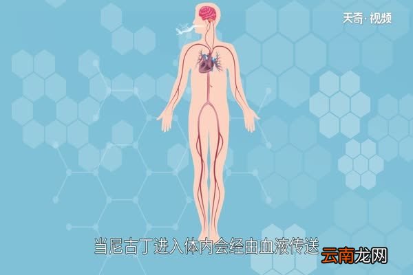 尼古丁是什么 尼古丁有哪些危害