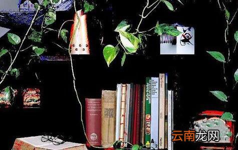 ps制作色调分离效果操作流程