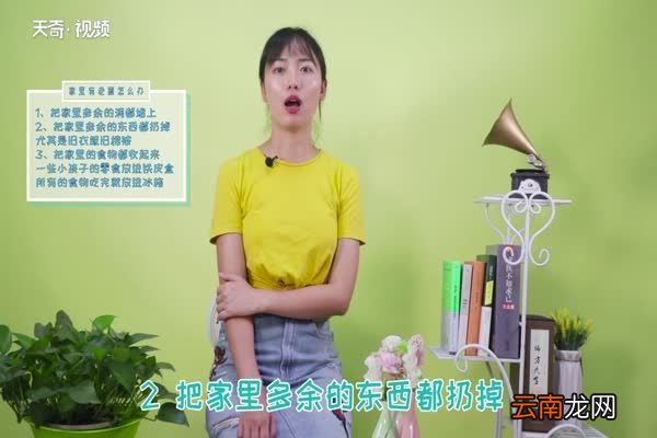 家里有老鼠怎么办 家里有老鼠如何处理