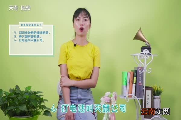 家里有老鼠怎么办 家里有老鼠如何处理