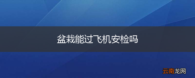 盆栽能过飞机安检吗