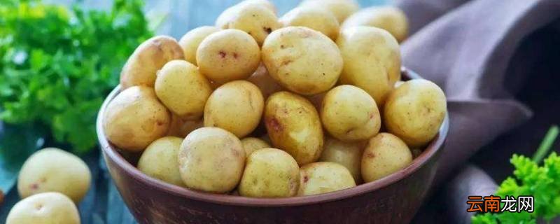 切开的土豆怎么保存