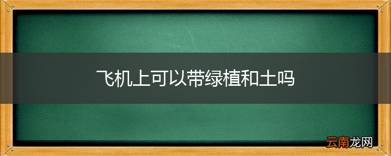飞机上可以带绿植和土吗