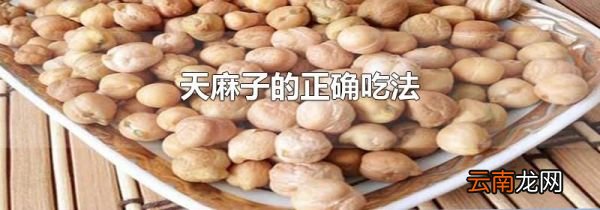 天麻子的正确吃法