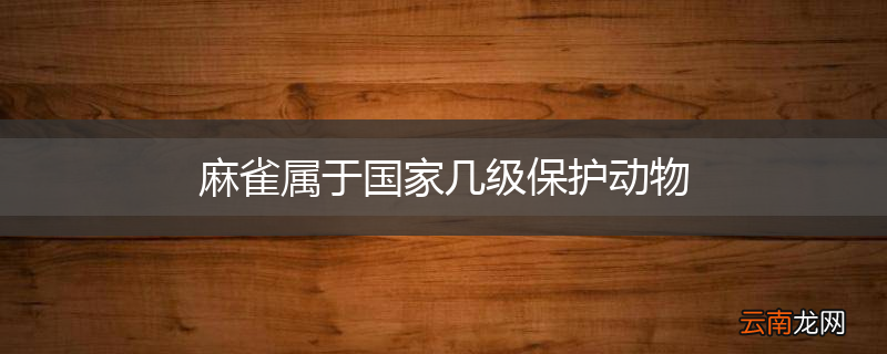 麻雀属于国家几级保护动物