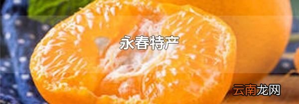 永春特产