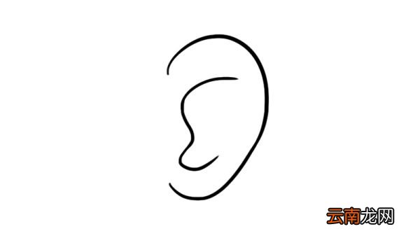 耳朵简笔画
