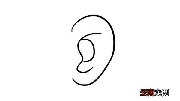 耳朵简笔画