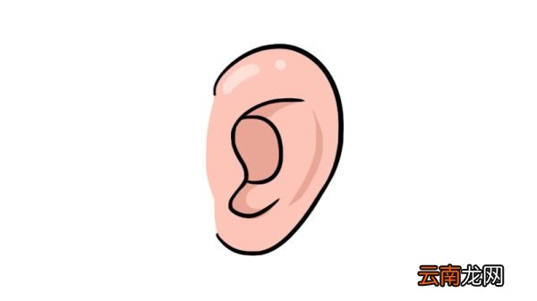 耳朵简笔画