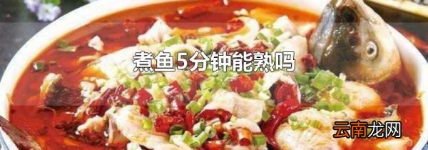 煮鱼5分钟能熟吗