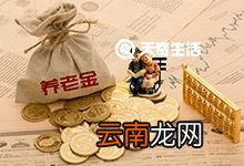 重庆居民养老保险参保指南 重庆居民养老保险参保条件
