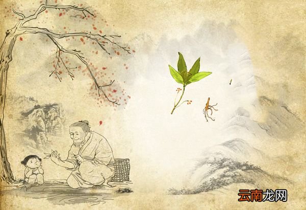 我国最早药学著作 中国现存最早的药学著作