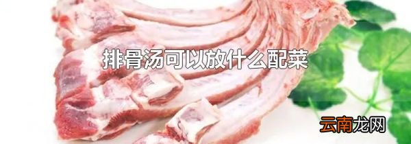 排骨汤可以放什么配菜