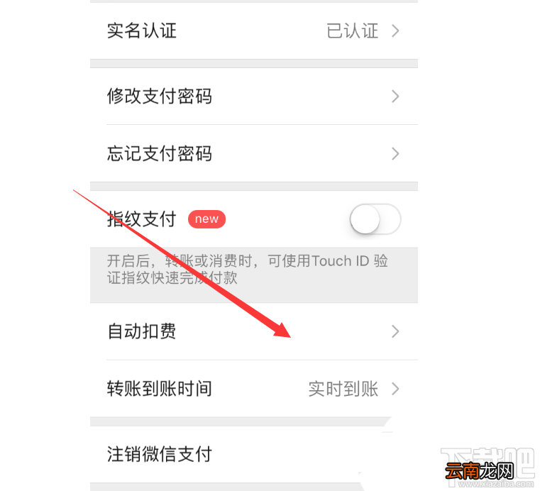 知乎怎么关闭盐选续费? 知乎盐选会员自动续费取消方法