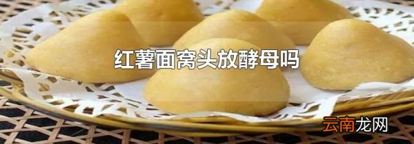 红薯面窝头放酵母吗