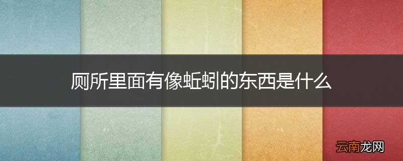 厕所里面有像蚯蚓的东西是什么