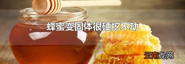 蜂蜜变固体很硬挖不动