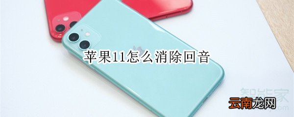 苹果11怎么消除回音