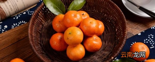 桔子能放冰箱里冷藏吗 桔子能不能放冰箱里冷藏