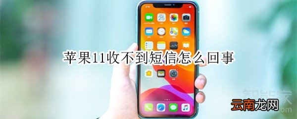 苹果11收不到短信怎么回事