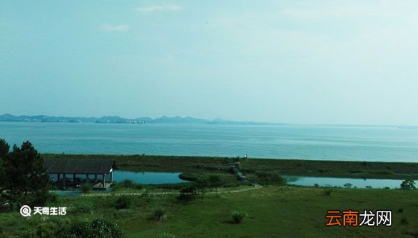 五大淡水湖 五大淡水湖分别是哪些